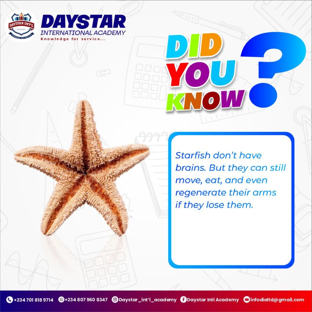 DayStar Did you know